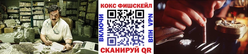 МЕГА tor  Заринск  darknet как зайти  Cocaine Fish Scale 