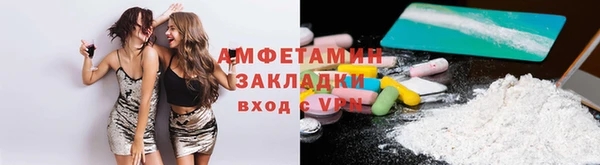 амф Вяземский