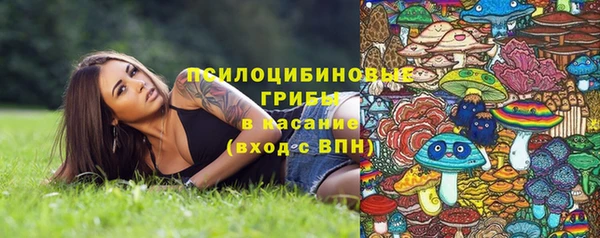 амф Вяземский