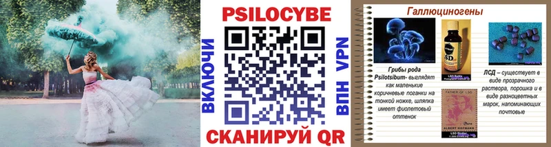 Псилоцибиновые грибы Psilocybine cubensis Заринск