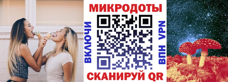 kraken вход  Заринск  Псилоцибиновые грибы Psilocybe 