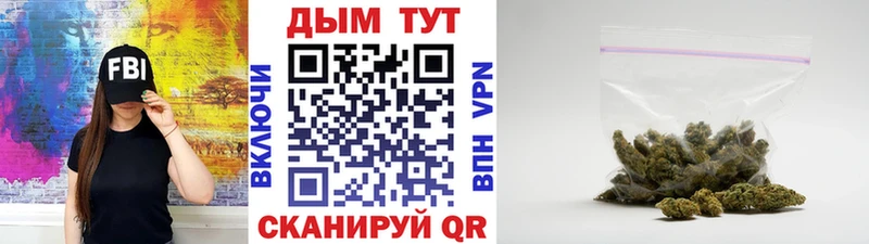 Конопля семена Заринск