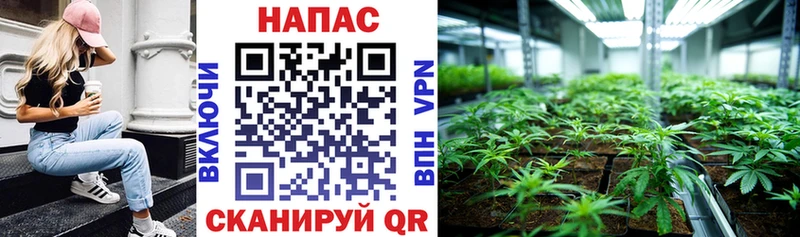 Шишки марихуана Ganja сколько стоит Заринск